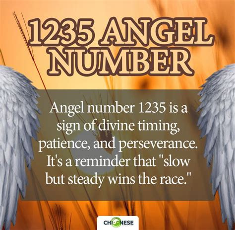 Angel number 1235: Meaning and Symbolism, Twin flame, and Truth